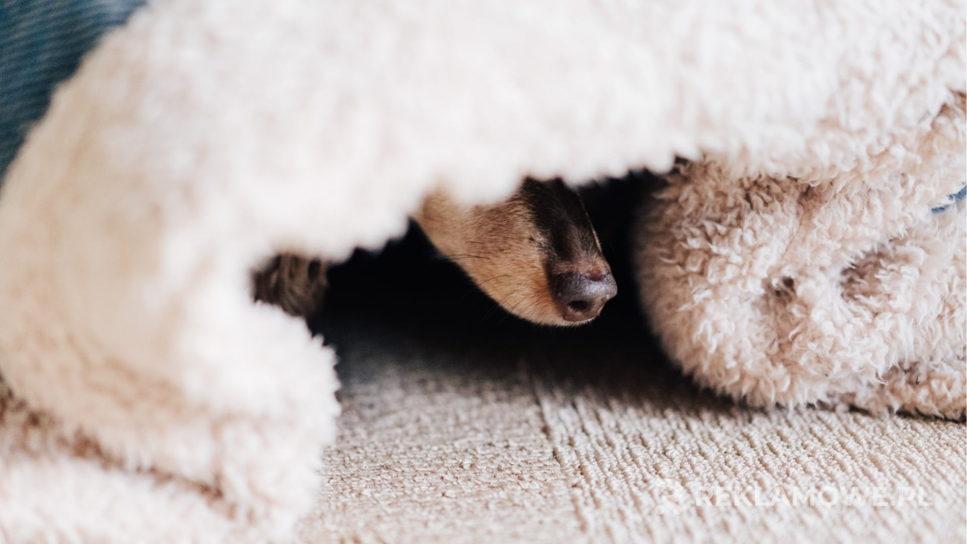 Koc reklamowy na tle produkcyjnym