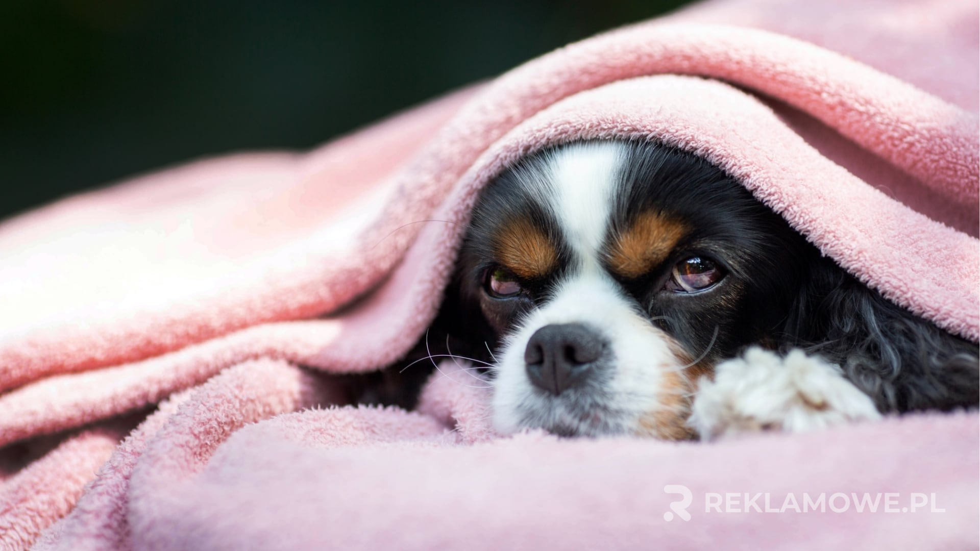 Porównanie koncepcji reklamowych z tradycyjnymi metodami promocji